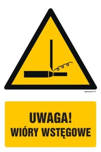 GF067 Uwaga! Wióry wstęgowe