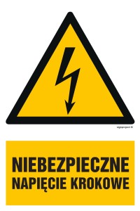 HA014 Niebezpieczne napięcie krokowe