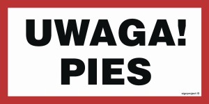 NC113 Uwaga! Pies
