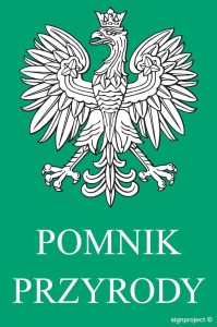 OB016 Pomnik przyrody