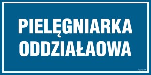PA542 Pielęgniarka oddziałowa