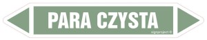JF307 Para czysta