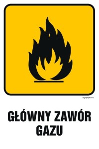 JD002 Główny zawór gazu 2