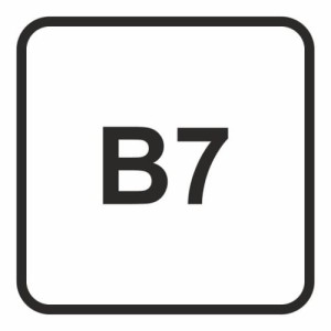 SB908 Naklejka B7