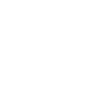 uwaga pies